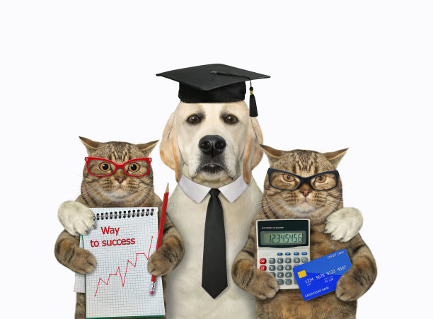 拉布拉多犬老师拥抱两只猫图片下载