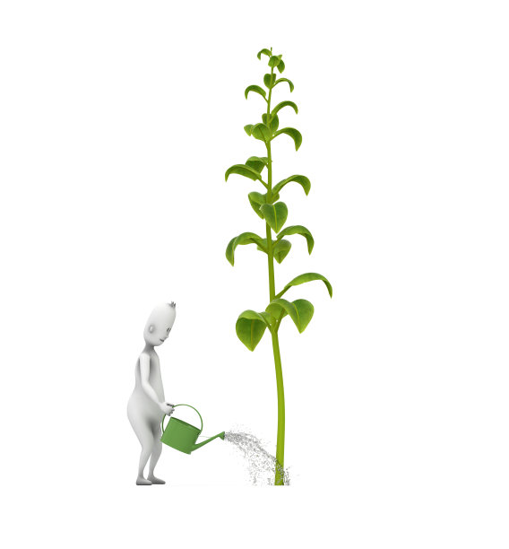 用洒水器给植物浇水。园丁。图片下载