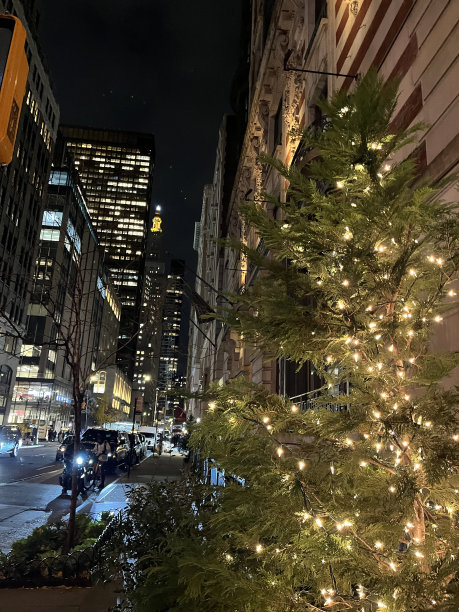 上西街的圣诞树，曼哈顿，纽约图片下载