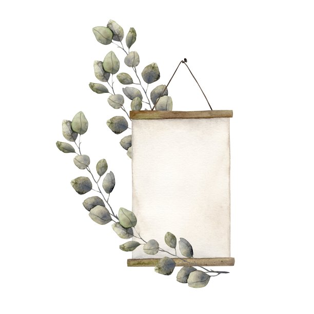 水彩画与挂在墙上的画板，与植物桉树叶。孤立的手绘插图卡片，贴纸，纺织品，设计，邀请，标志。图片下载