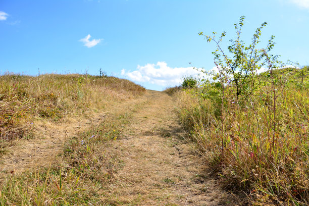 一条土路通向一片蓝天和几朵云的田野图片下载