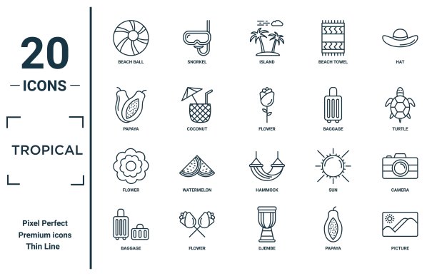 热带线性图标集。包括细线沙滩球，木瓜，花，行李，图片，花，相机图标的报告，演示，图表，网页设计图片下载