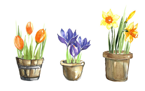 花盆里的一套春花。图片下载