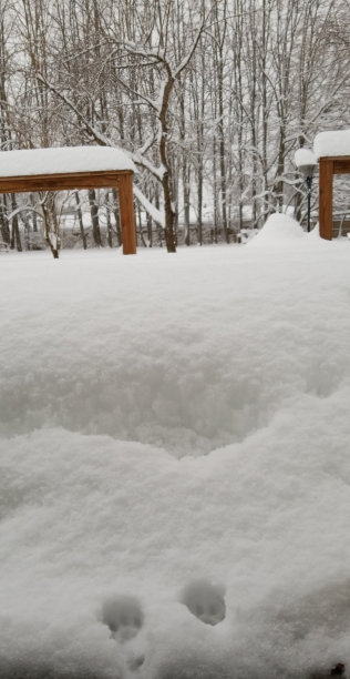 下雪的照片图片下载