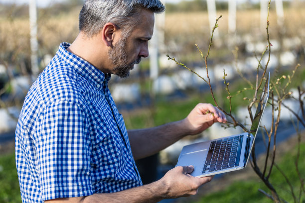 男子在花园里用手提电脑检查植物图片下载