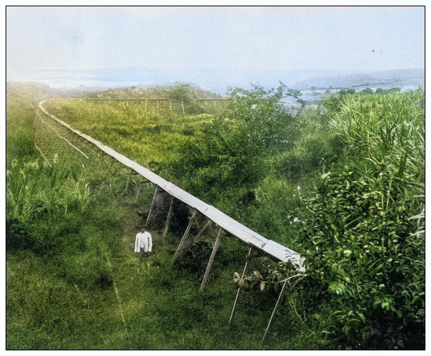 古董黑白照片:夏威夷运输甘蔗的水槽图片下载