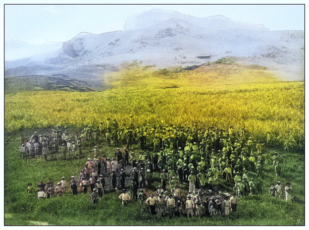 古色古香的黑白照片:夏威夷考艾岛Lihue甘蔗种植园的工人图片下载