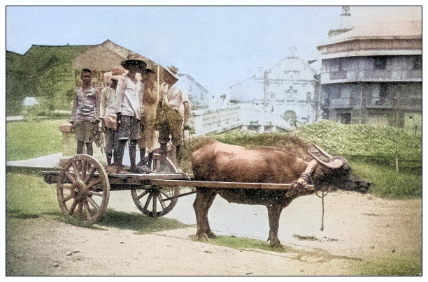 古色古色的黑白照片:菲律宾马尼拉的卡拉博马车图片下载