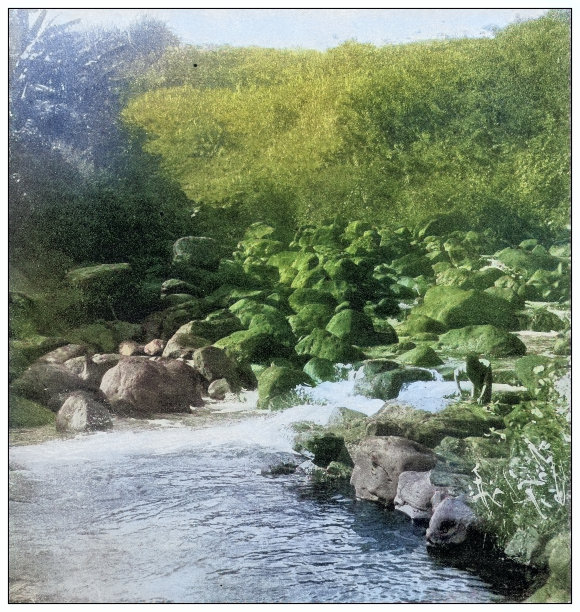 古董黑白照片:夏威夷本诺卡附近图片下载