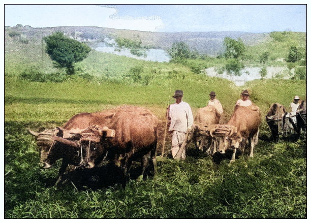 古色古香的黑白照片:古巴农民图片下载