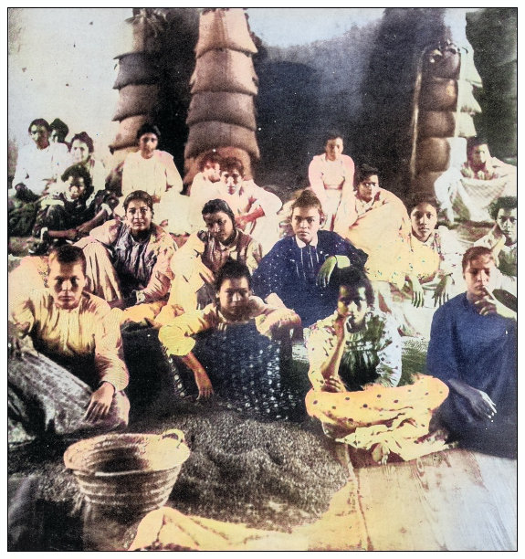 古色古香的黑白照片:波多黎各，尤科，女孩们在分类咖啡图片下载