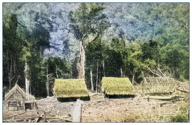 古色古香的黑白照片:古巴的种植园农场图片下载