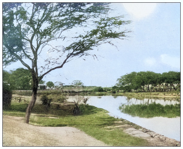 古董黑白照片:夏威夷图片下载