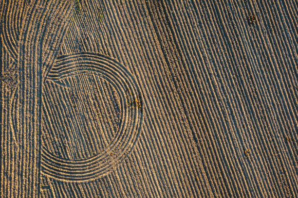 这张照片是一个图案表面的特写，中间有一个圆圈图片下载