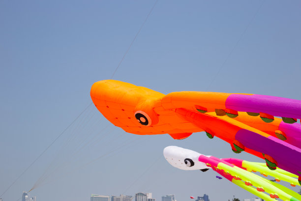 泰国春武里海滩上的芭堤雅国际风筝。图片下载