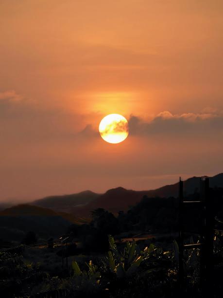 一张日落的照片，天空中有一只鸟在飞翔。图片下载