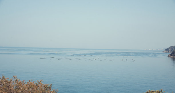 海里的养鱼场，用网围起来。图片下载