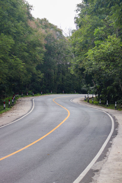 林间高速公路的照片，凉爽而美丽图片下载