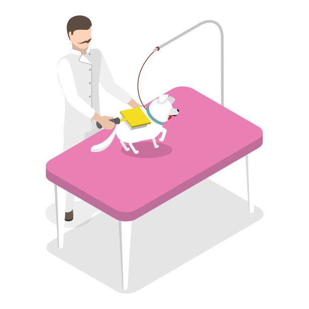 宠物美容的三维等距平面矢量插图。项目3图片下载