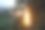 创意概念——孤独的复古灯泡在花园里发光图片下载