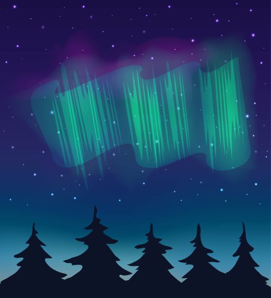 矢量插图。森林和夜空，星星和北极光。图片下载