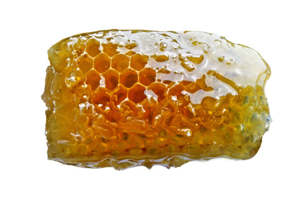 蜜蜂的蜂巢图片下载