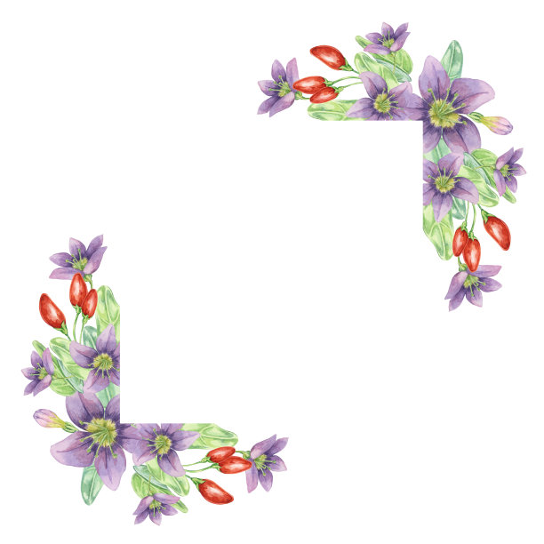 红枸杞，丁香花，绿叶，角框设计。手绘水彩插图剪贴簿，卡片，报价，标签，标签图片下载
