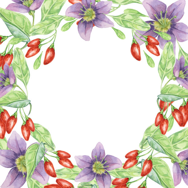 红枸杞，丁香花和绿叶圆形框架设计。手绘水彩插图，隔离DIY印刷，卡片，报价图片下载