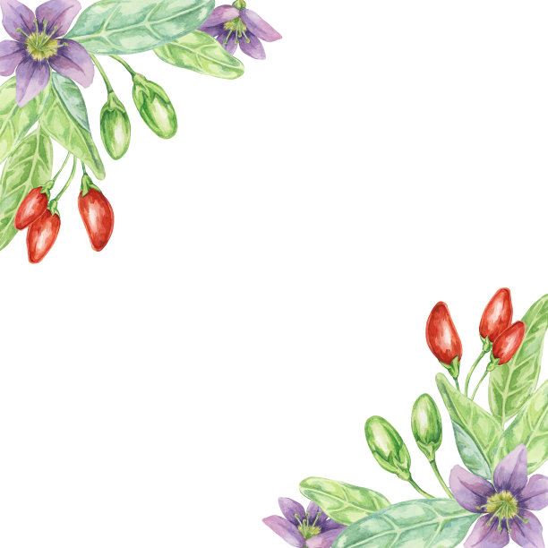 红枸杞，丁香花，绿叶，角框设计。手绘水彩插图剪贴簿，卡片，报价，标签，标签图片下载