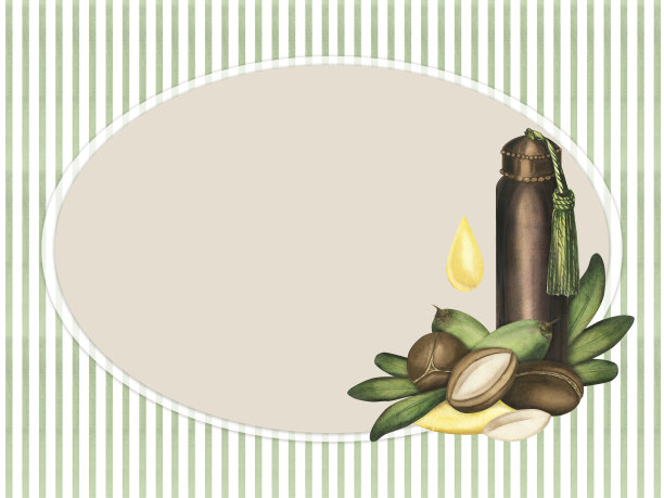 水彩框架的形象，一个坚果和一瓶油。在绿色条纹水彩背景上手绘的一棵摩洛哥坚果树草图。由成熟的坚果和绿叶组成图片下载