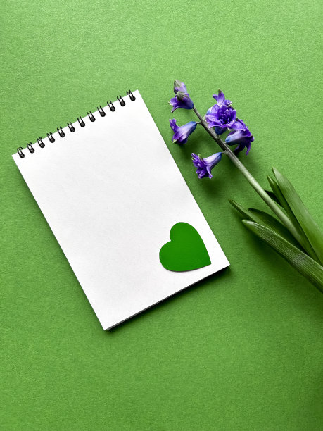 地球日，4月22日，记事本，绿色纸心和绿色背景上的风信子花，留出文字空间图片下载