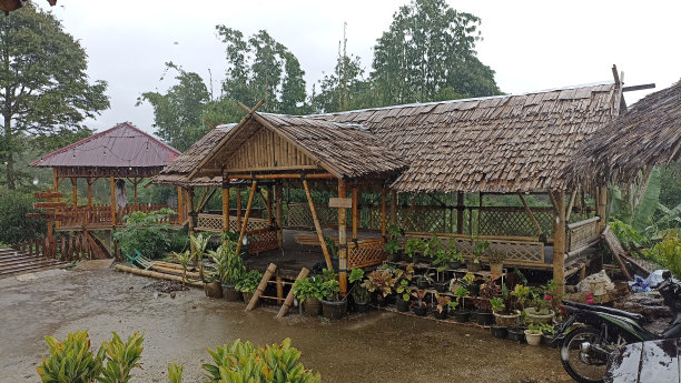 这张照片是关于一个村庄里用竹子和稻草建造的小屋图片下载