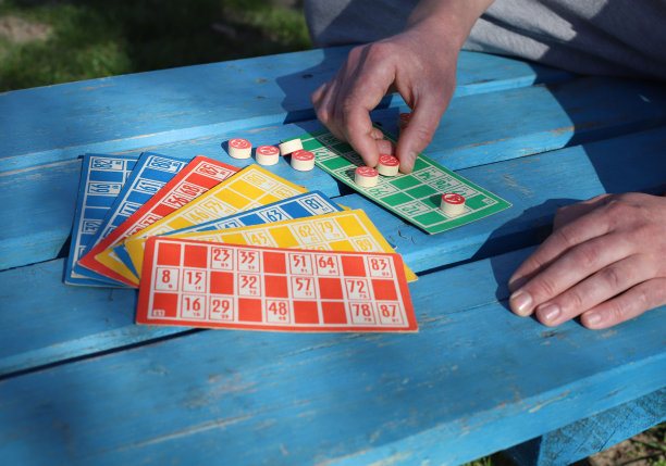 宾戈游戏图片下载