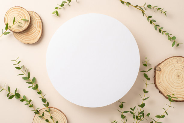 自然温柔的概念。俯视图照片的空圈周围的桉树和圆形木架的分支，孤立的柔和的背景与复制空间图片下载