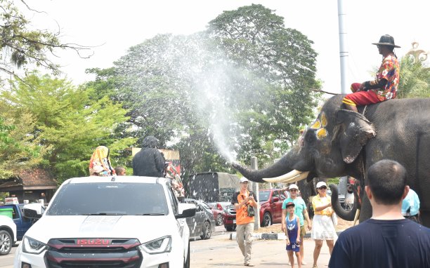 泼水节上大象在游客之间泼水图片下载