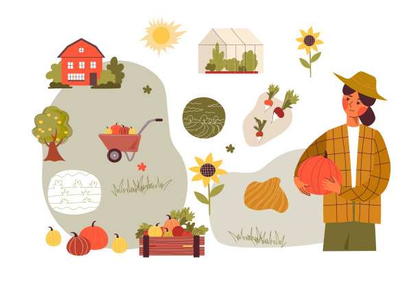 一位女农民在她的花园里收割。秋收的概念。有机农产品。吃的地方。农贸市场概念。手绘矢量卡通平面集图片下载