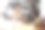 白人富婆客户买方客户穿着西装签署纸质合同。图片下载