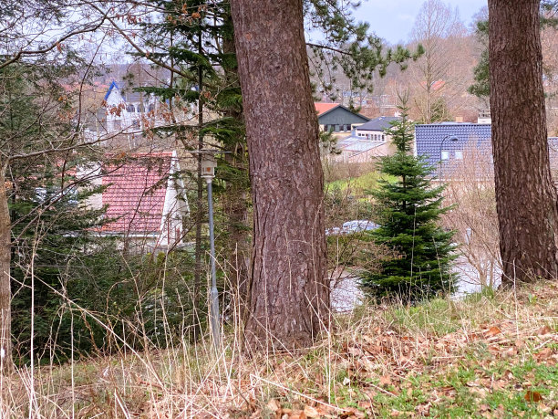 丹麦Holte的房地产图片下载