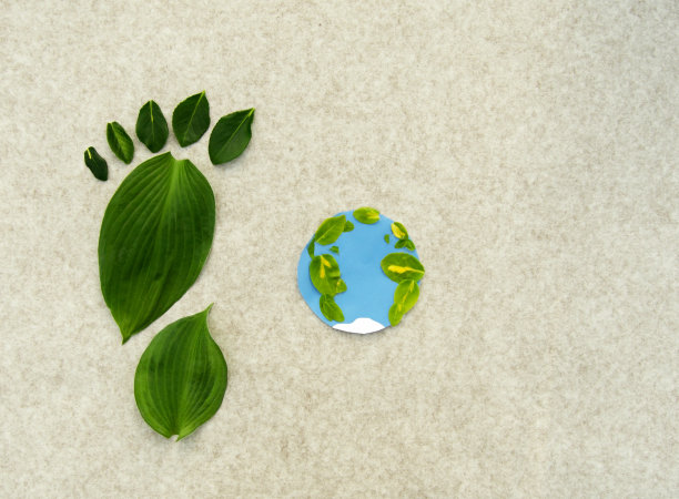 绿叶成长的足迹。图片下载