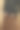 一系列的工作室照片的年轻女模特穿着黑色衬衫与动物印花中长裙。舒适优雅的日常时尚。图片下载