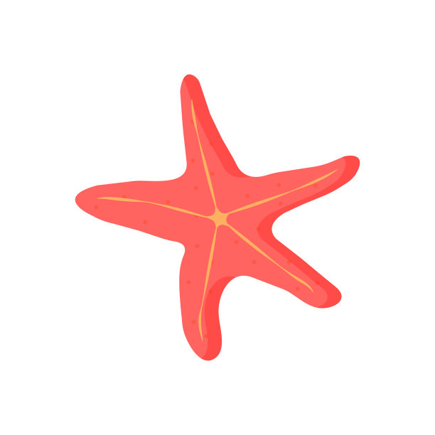 海星的矢量插图。图片下载