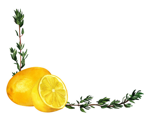 柠檬和百里香芳香的厨房草药，水彩框架，手绘组成印刷在卡片，请柬，食谱，烹饪书，包装和产品标签图片下载