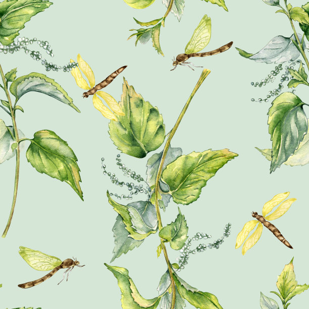 荨麻草本植物与蜻蜓无缝图案隔离在蓝色上。刺痛植物荨麻疹手绘插画。有用草药的印刷品。纺织品、包装、墙纸设计图片下载