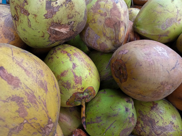 水果市场上成堆的新鲜椰子的照片，这种水果有甜和新鲜的水图片下载