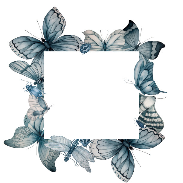 一套以蝴蝶和昆虫为主题的水彩画在白色的背景上。配色方案是靛蓝色的单色。理想的印刷贺卡和各种装饰图片下载