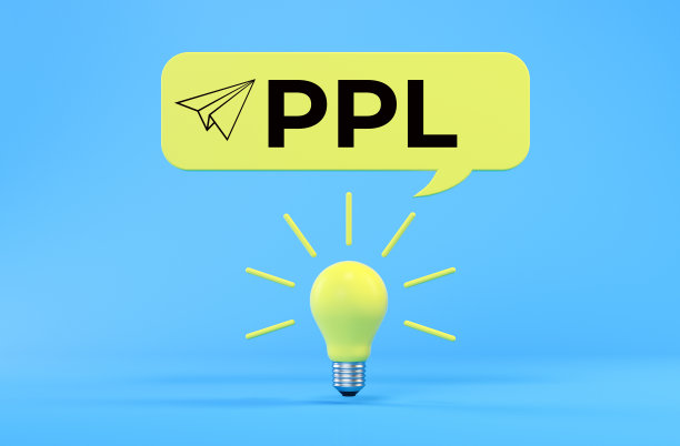 私人飞行员执照图片下载