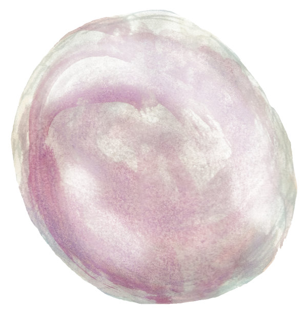 水彩珍珠孤立在白色的背景图片下载