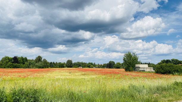 德国弗莱堡的风光风光。高清图片下载