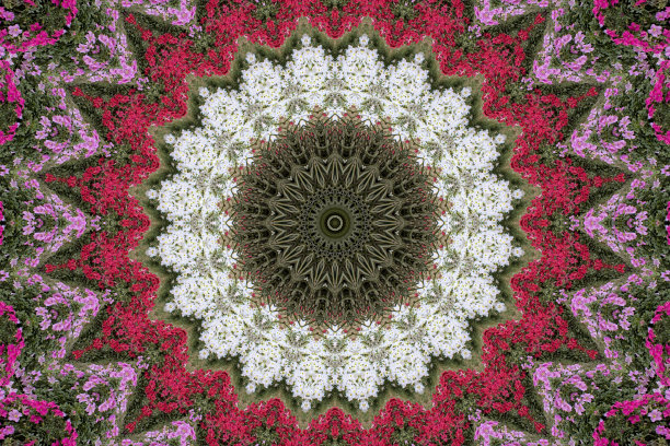 传统的天花板图片下载