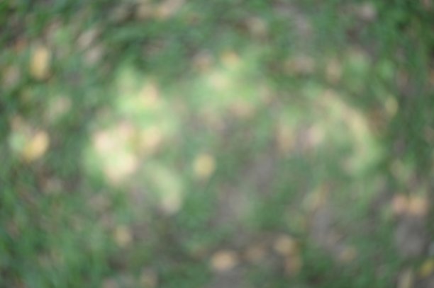 草地背景模糊图片下载